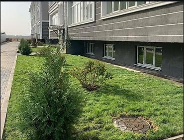 Уборка территории, Стрижка газона