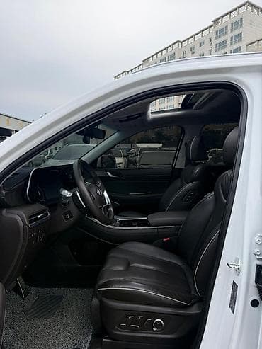 козерог на одиссей: Hyundai Palisade: 2023 г., 2.2 л, Робот, Дизель, Кроссовер — 7