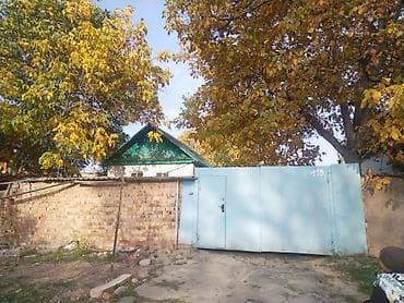 жене журкан: Шторалар комплекти, Комплектте тюлу бар, Даяр буюм, Конок бөлмөсү үчун — 10