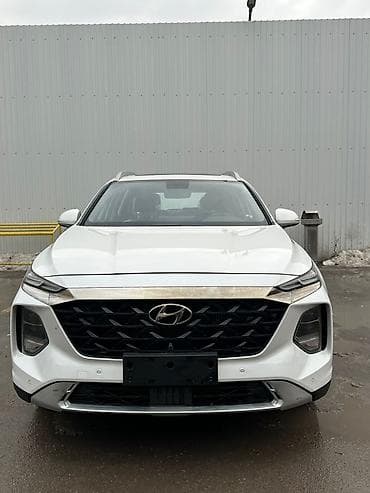 space runner: Hyundai Santa Fe: 2022 г., 2 л, Автомат, Бензин, Кроссовер — 5