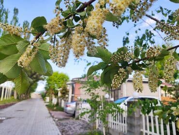 гостевые дома в бостери: Коттедж, 35/3, 4-комнатный ЦО Радуга West, Кош-Кол, Детская площадка, Парковка, стоянка, Охраняемая территория — 21