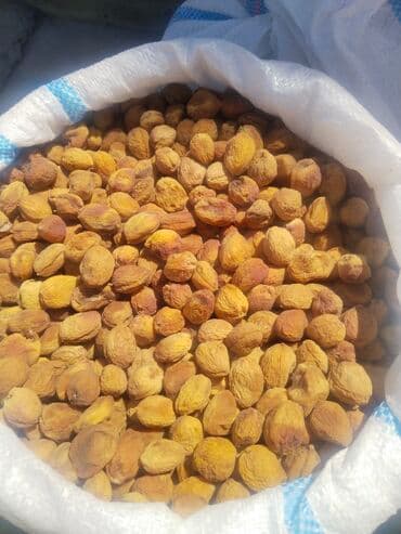 букет из сухофруктов бишкек: 10кг ашык алгандарга жеткирип беребиз Бишкек ичи. при покупке 10 кг — 2