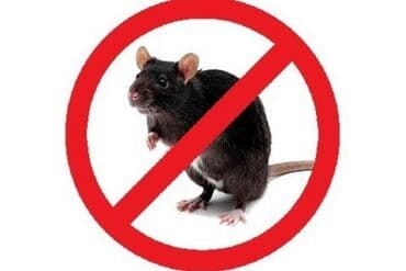 дезинфекция дома от клопов ош: Дезинфекция, дезинсекция, | Блохи, Вирусы, микробы, Клопы, | Квартиры, Офисы, Дома — 7