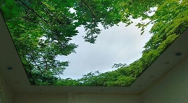 стен шкурка: Натяжной потолок Глянцевое Гарантия — 2