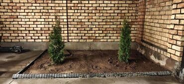 аренда квартир на долгий срок по дешевле: 1 комната — 9