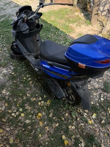 скутер на продажу: Скутер түрү 50 куб. см, Бензин — 1