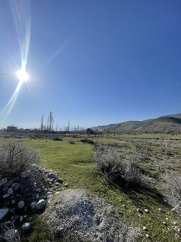 тон район: 10 соток, Красная книга — 1