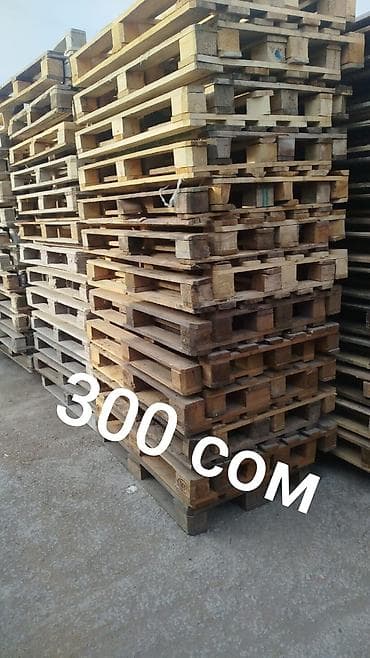 европаллеты: Продаю поддоны размер 120х80 120х100 количество имеется у нас есть — 3