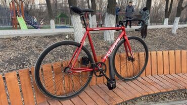 спидометр для велосипеда цена: Шоссейный велосипед, Tsunami — 5