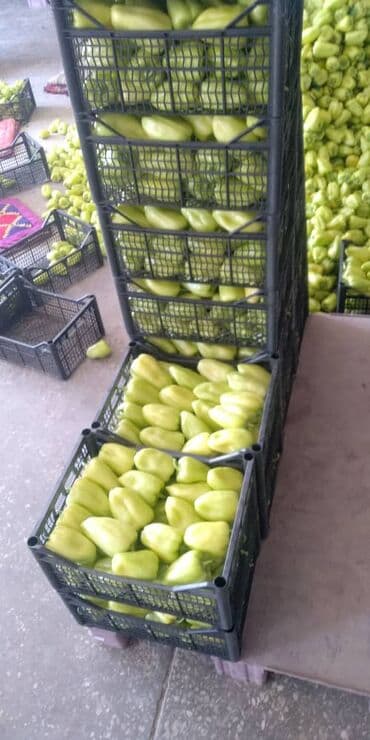 старый буфет: Пластиковый Ящик — 10