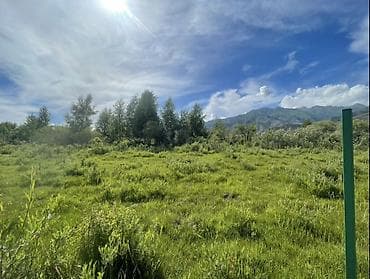 купить дом в константиновке: 30 соток, Для строительства, Красная книга, Договор купли-продажи — 4