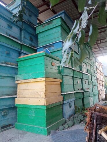 отун кара жыгач: Пчелиные ульи деревянные срочно нужны деньги продаю дешевле - — 1