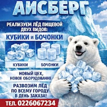 реалии: 20 сом кг! Лёд пищевой ICE BERG БЕСПЛАТНО каждый 5 заказ. Новый цех — 1