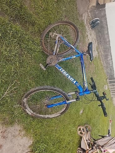 legend: Горный велосипед, Рама M (156 - 178 см), Сталь — 4