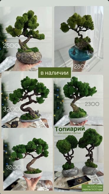 Авторские интерьерные композиции из стабилизированного мха 1) Райский at lalafo.kg Авторские интерьерные композиции из стабилизированного мха 1) Райский