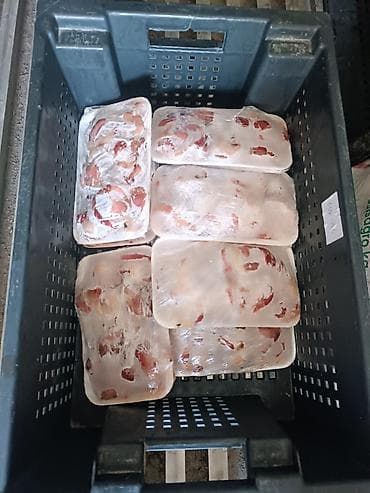 продаю кур несушек: Куриная печень 80сом/кг желудка 110сом/кг сердце 160сом/кг голова — 6