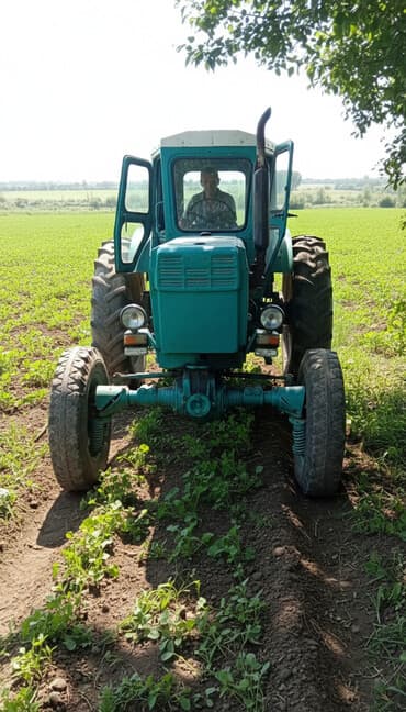 электроскутеры бишкек: Ишке даяр косилкасы бар — 2