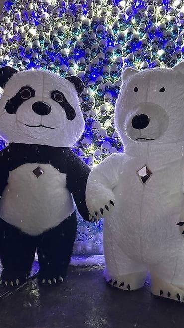 Горнолыжная одежда: Ростовая кукла, Панда — 4