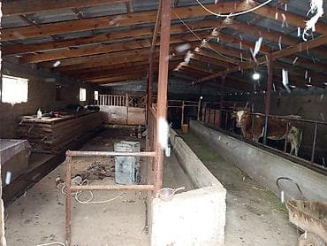 Продажа домов: Продается дача площадь участка 12 соток есть документы красная книжка — 7