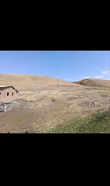 барахолка сокулук: Кошара, 120 соток — 9