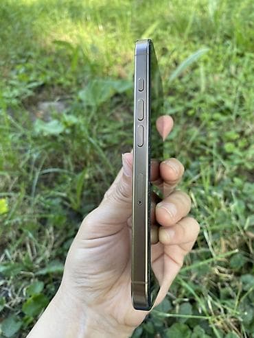 pro 11: IPhone 16 Pro, 256 ГБ, 90 % — 5