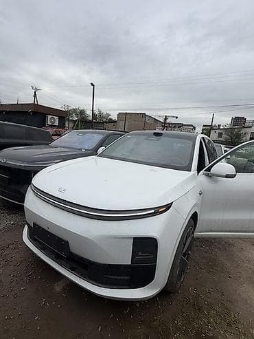 подушка на авто: Lixiang L6: 2025 г., Гибрид, Кроссовер — 1