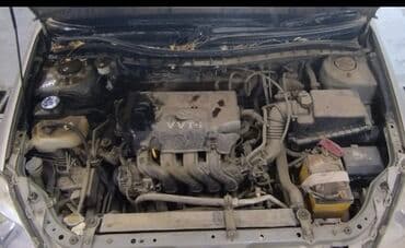 Бала бакчалар, бала багуучулар: Унаа жуучу жай | Жылмалап жылтыратуу, Коргоочу пленка менен чаптоо, Тонировкалоо — 11