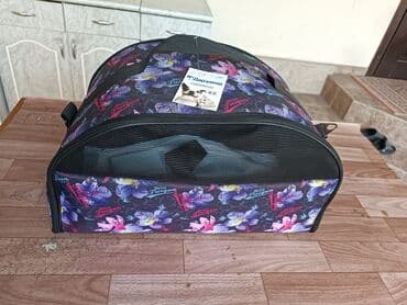 Кошки: 900 сом хорошем качестве — 5