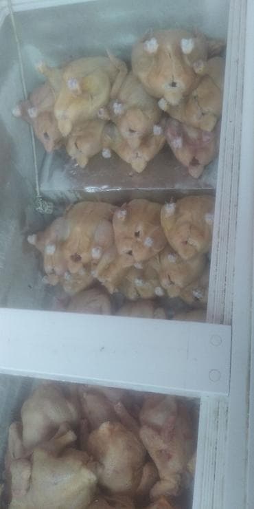 Мясо птицы: Тушки перепёлки, потрошёные, без головы и лап (частично с сохранёнными — 1