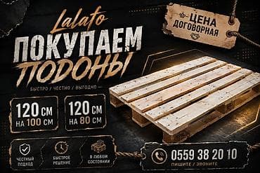 Өндүрүш үчүн жабдуулар: Поддон Жаңы, Бар — 1