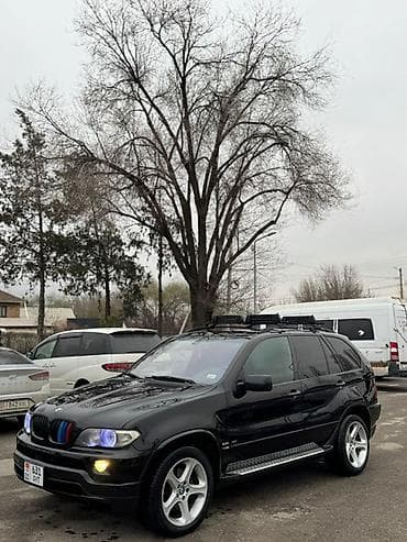 BMW X5: 2004 г., 4.4 л, Автомат, Внедорожник