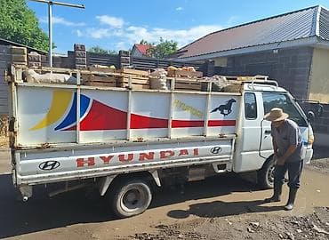 Заказать Хендай портер, Перевозка скота, C грузчиком at lalafo.kg Заказать Хендай портер, Перевозка скота, C грузчиком