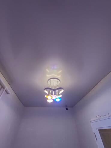 фикус большой: Натяжной потолок Глянцевое, Матовое, 3D потолки Гарантия, Бесплатная консультация, Бесплатный замер — 11