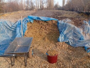 котята в добрые руки: Лилось 7 — 3