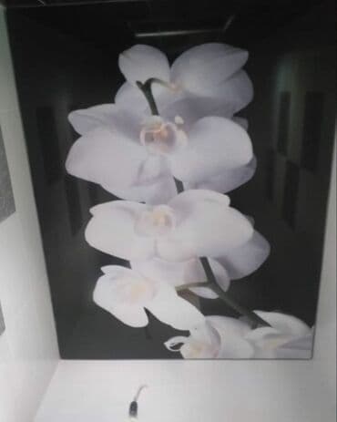 надувной матрас бишкек цена: Натяжной потолок Глянцевое, 3D потолки, Матовое — 13