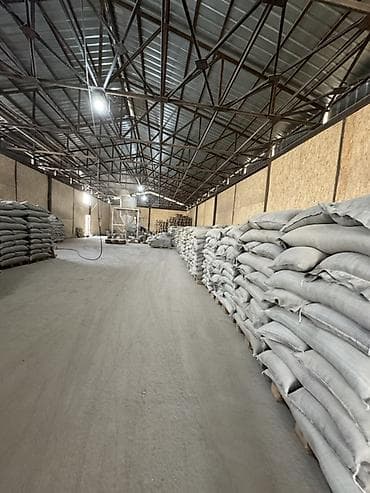 продаю кукруза: Отруби ————-50%
Зерно отход ——50% — 2