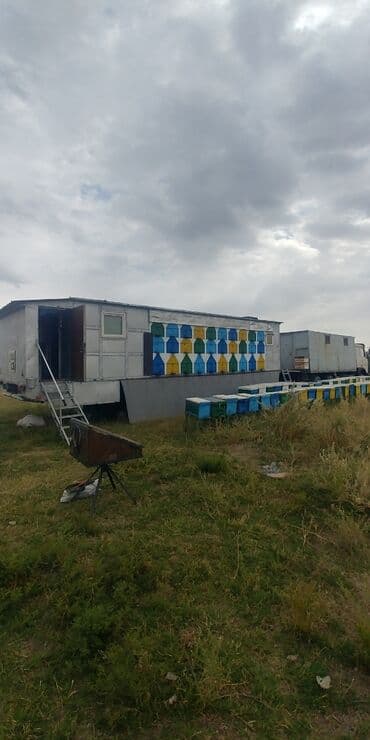 Компрессорлор: Продаю готовый бизнес, пасека в комплекте. (БЕЗ ПЧЕЛ) -Павилион 1984 — 2