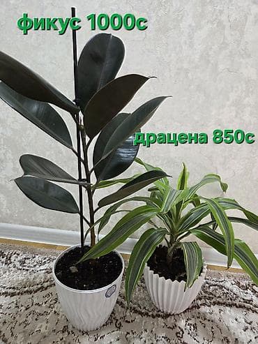 подставки для украшения: Полка, этажерка для цветов, Новый, Железо, Бесплатная доставка — 7