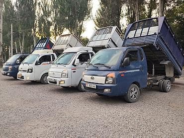 Балдардын кийим-кечелери жана бут кийимдери: Вывоз мусор, Вывоз мусор, Вывоз мусор, Вывоз мусор, Вывоз мусор, Вывоз — 1