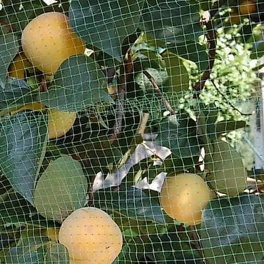 сетка для картошка: Защитные сетки от птиц — 3