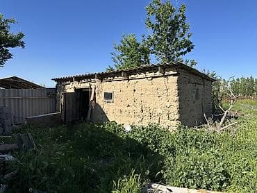лампа бу: Саман для строительства/подсобных нужд.
Бесплатно — 2
