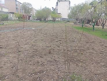 сельского хозяйства: 6 соток, Для сельского хозяйства, Красная книга — 4