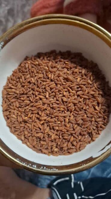 Узгенский рис оптом и в розницу есть разные сорта