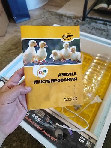 Оборудование для производства: Бытовой инкубатор «Норма = МИР» - Электронная панель управления с — 2