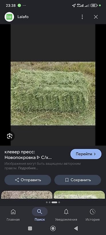 Клевер в тюках (прессованное сено) - Кормовой клевер, спрессованный в — 2