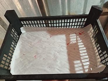 продаю пластиковые ящики: Пластиковый Ящик — 3