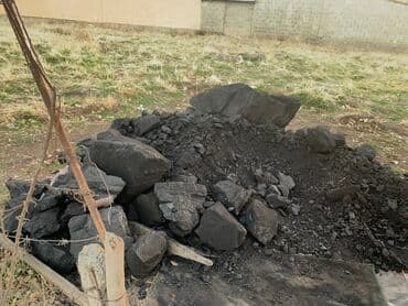 цветы цены бишкек: Уголь Кара-Кече, Самовывоз, Платная доставка, В розницу, В мешках — 1