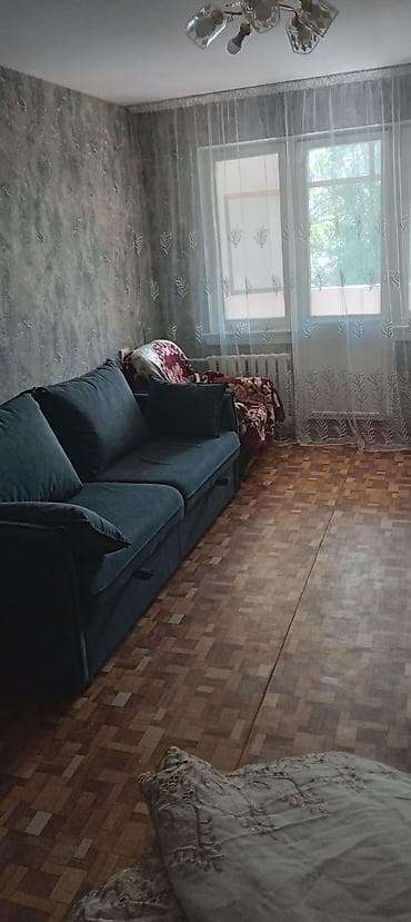 вислоухий кошка: 1 комната, С мебелью полностью — 2