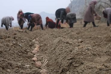 фермы на заказ: Күнүмдүк иштерге буюртма алабыз. Бишкек шаар ичинде. Жазгы тазалоо — 5