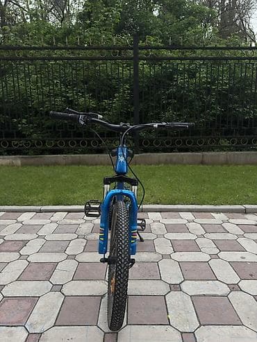 fixed gear: Детский велосипед, 2-колесный, 9 - 13 лет, Для мальчика, Б/у — 3